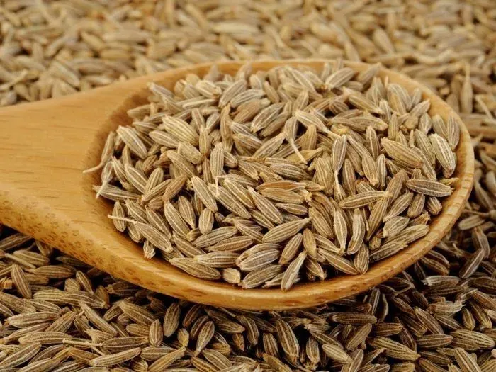 زیره سبز؛ خواص، تشخیص نمونهٔ اصل و روش درست مصرف و نگهداری