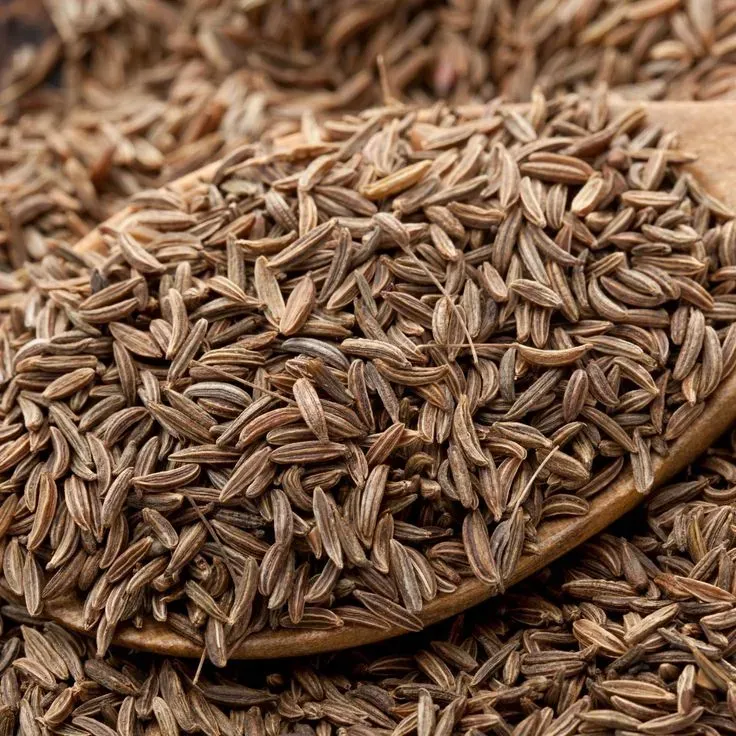 زیره سیاه چیست؟ خواص، تشخیص نمونهٔ اصل و روش درست مصرف